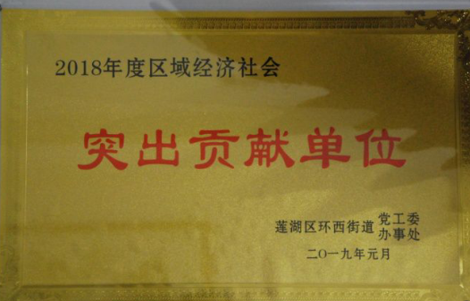 海納集團(tuán)被蓮湖區(qū)環(huán)西街道評為2018年度區(qū)域經(jīng)濟(jì)社會“突出貢獻(xiàn)單位”